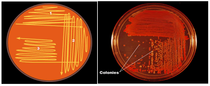 分離純化技術(shù)圖片