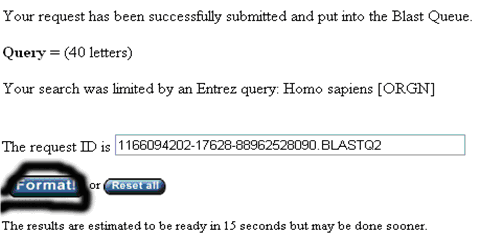一步步教你利用Blast分析驗證引物序列
